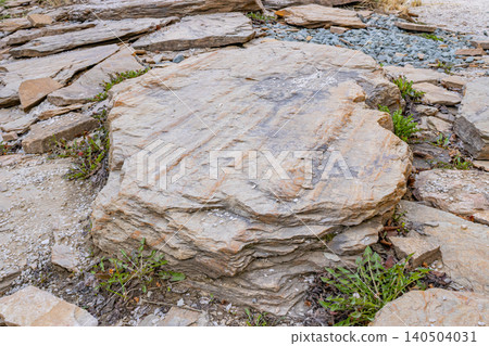 Close-Up View of a Flat, Textured Rock Surrounded by Smaller Stones and Vegetation in a Natural Setting Close-Up View of a Flat, Textured Rock Surrounded by Smaller Stones and Vegetation in a Natural Setting 140504031