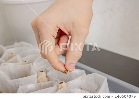 Hand sowing seed in biodegradable seed starter tray indoors for home gardening Hand sowing seed in biodegradable seed starter tray indoors for home gardening 140504079