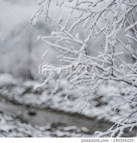 Snow-covered branches above a small river flowing through a misty winter valley. 140504203