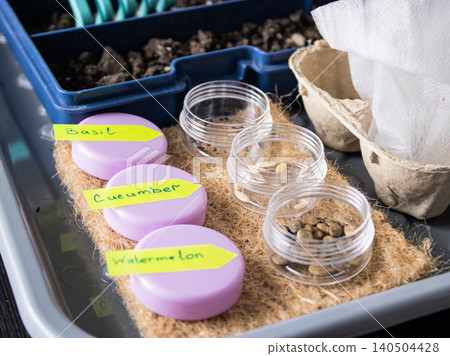 Labeled seed containers for basil, cucumber and watermelon in seed starting tray Labeled seed containers for basil, cucumber and watermelon in seed starting tray 140504428