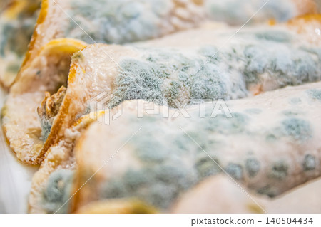 A Close-Up View of Moldy Cannelloni Dish Highlighting Fungal Growth on Stuffed Pasta Shells, Illustrating Food Spoilage and Unappetizing Qualities A Close-Up View of Moldy Cannelloni Dish Highlighting Fungal Growth on Stuffed Pasta Shells, Illustrating Food Spoilage and Unappetizing Qualities 140504434