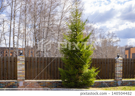 Lush Evergreen Tree Surrounded by a Wooden Fence and Fragrant Atmosphere in a Serene Outdoor Setting Under a Bright Sky Lush Evergreen Tree Surrounded by a Wooden Fence and Fragrant Atmosphere in a Serene Outdoor Setting Under a Bright Sky 140504482
