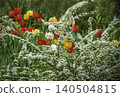 Spring garden in bloom. 140504815
