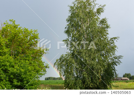 Double rainbow in the stormy grey sky over green trees. Countryside summer landscape Double rainbow in the stormy grey sky over green trees. Countryside summer landscape 140505063