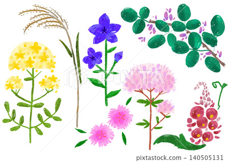 Hand-drawn illustration of flowers: The Seven Flowers of Autumn Hand-drawn illustration of flowers: The Seven Flowers of Autumn 140505131