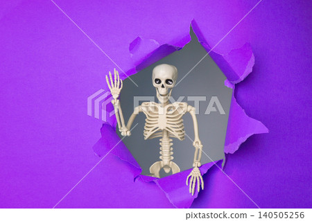 Playful Skeleton Peeking Through Torn Purple Paper, Creating a Whimsical Halloween Atmosphere 140505256