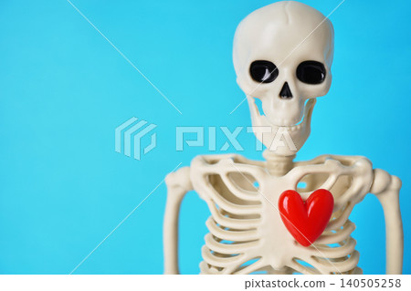 A Playful Skeleton Model Embracing a Red Heart Against a Vibrant Blue Background A Playful Skeleton Model Embracing a Red Heart Against a Vibrant Blue Background 140505258