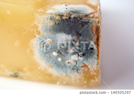 Macro Photography of spot of Mold on Hard Cheese 140505297