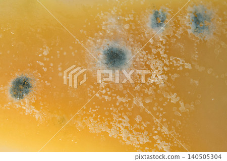 Macro photography of cheese spoiled by mold 140505304