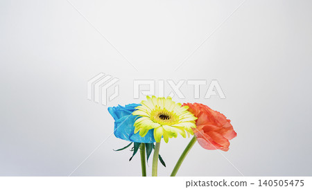 Yellow gerberas, red ranunculus, and blue roses, macro photography, white background, copy space, flower material. Yellow gerberas, red ranunculus, and blue roses, macro photography, white background, copy space, flower material. 140505475