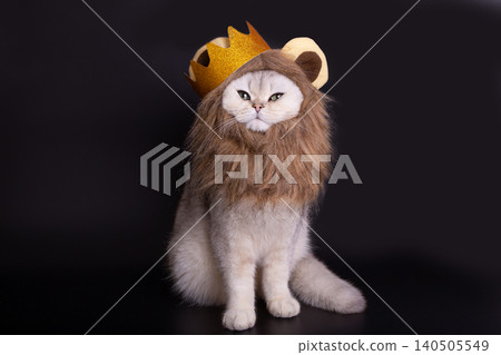 A Playful Cat in a Lion Costume: Adorable Feline with Crown and Mane on a Dark Background A Playful Cat in a Lion Costume: Adorable Feline with Crown and Mane on a Dark Background 140505549