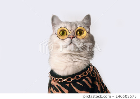Stylish white Cat with Glasses and Trendy Outfit Showcasing Unique Fashion Sense and Attitude Stylish white Cat with Glasses and Trendy Outfit Showcasing Unique Fashion Sense and Attitude 140505573