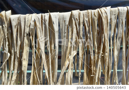Drying a bark of  Broussonetia kazinoki mulberry tree that makes Korean traditional  paper 140505643