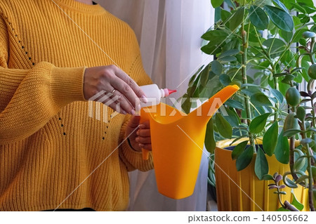 Woman in Yellow Sweater Adding Hydrogen Peroxide To Yellow Watering Can For Watering Plants Woman in Yellow Sweater Adding Hydrogen Peroxide To Yellow Watering Can For Watering Plants 140505662