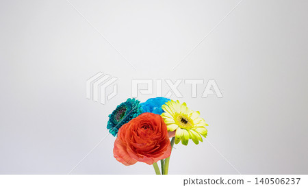 Colorful flower bouquet: red ranunculus, yellow and blue gerberas, blue roses, white background, macro, copy space. Colorful flower bouquet: red ranunculus, yellow and blue gerberas, blue roses, white background, macro, copy space. 140506237