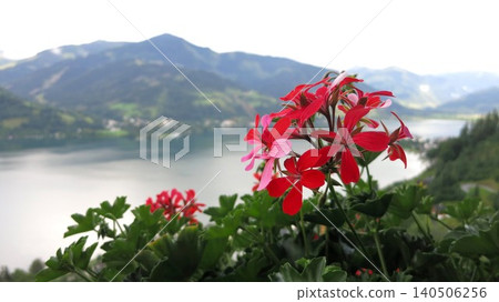 澤爾湖畔，位於奧地利阿爾卑斯山脈，是一個美麗的度假小鎮。 140506256