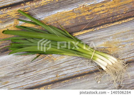 Fresh Spring Onions Bunch on Wooden Background Fresh Spring Onions Bunch on Wooden Background 140506284