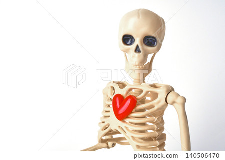Creative Display of a Human Skeleton Holding a Red Heart Symbolizing Life and Vitality Creative Display of a Human Skeleton Holding a Red Heart Symbolizing Life and Vitality 140506470