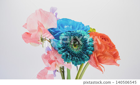 Colorful flower bouquet: blue gerberas, roses, ranunculus, and sweet peas. White background. Copy space. Colorful flower bouquet: blue gerberas, roses, ranunculus, and sweet peas. White background. Copy space. 140506545