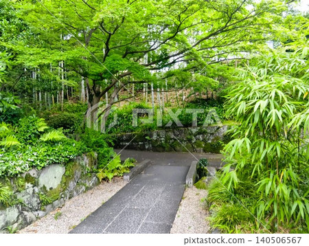 Early summer at Jōzan-en: A world of green at Shisenkaku. Early summer at Jōzan-en: A world of green at Shisenkaku. 140506567