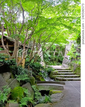 初夏時節的常山園:紫泉閣一片翠綠。 初夏時節的常山園:紫泉閣一片翠綠。 140506573