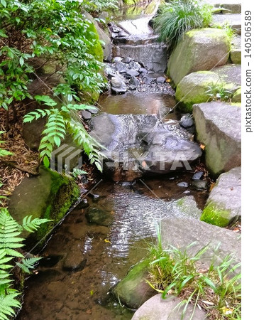 初夏時節的常山園：紫泉閣一片翠綠。 140506589