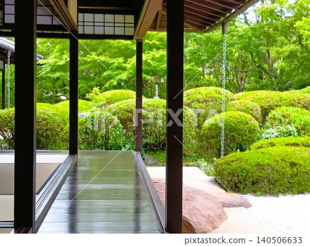 初夏時節的常山園：紫泉閣一片翠綠。 140506633
