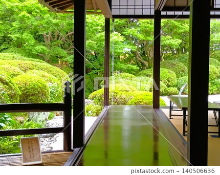 初夏時節的常山園:紫泉閣一片翠綠。 初夏時節的常山園:紫泉閣一片翠綠。 140506636