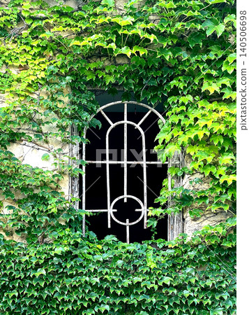 Old church window surrounded by creeping ivy plants Old church window surrounded by creeping ivy plants 140506698