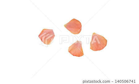 Ranunculus petal set, pink, transparent background, macro material, flower parts. Ranunculus petal set, pink, transparent background, macro material, flower parts. 140506741