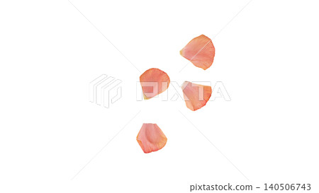 Ranunculus petal set, pink, transparent background, macro material, flower parts. Ranunculus petal set, pink, transparent background, macro material, flower parts. 140506743