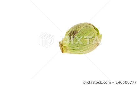 蜂斗菜嫩芽,透明背景,微距攝影,春季野生蔬菜,食品原料。 蜂斗菜嫩芽,透明背景,微距攝影,春季野生蔬菜,食品原料。 140506777