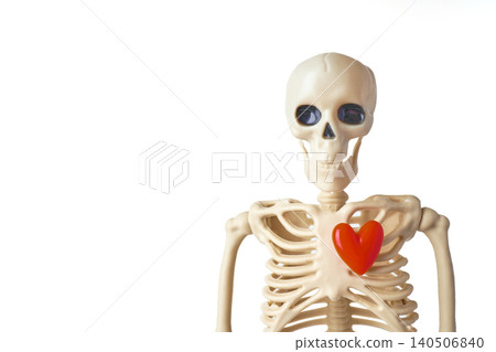 Anatomical Skeleton Holding a Heart Symbolizing Love and Life in a Creative Display 140506840