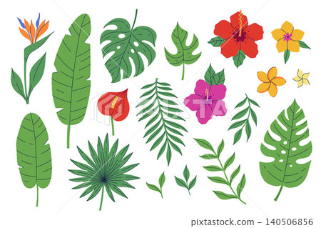 Set of tropical leaves and flowers. Vector graphics Set of tropical leaves and flowers. Vector graphics 140506856