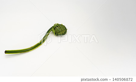 白色背景上的野菜（一種野生蔬菜）；春季山野菜；微距；留白。 140506872
