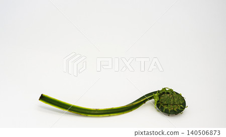 白色背景上的野菜（一種野生蔬菜）；春季山野菜；微距；留白。 140506873