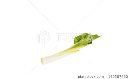 Spring wild vegetables: Young leaves of Urui (a type of wild vegetable), macro photography, transparent background, food material. Spring wild vegetables: Young leaves of Urui (a type of wild vegetable), macro photography, transparent background, food material. 140507460