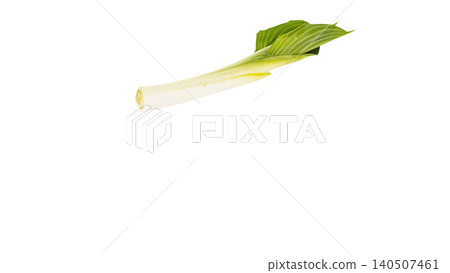 Spring wild vegetables: Young leaves of Urui (a type of wild vegetable), macro photography, transparent background, food material. Spring wild vegetables: Young leaves of Urui (a type of wild vegetable), macro photography, transparent background, food material. 140507461