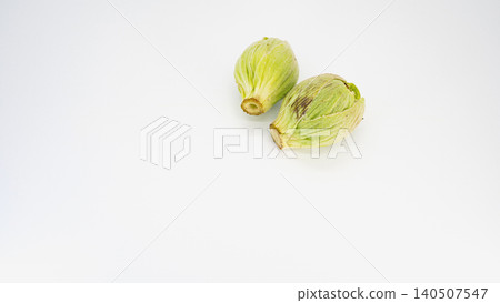 Macro photography of butterbur sprouts, white background, copy space, spring wild vegetables, food ingredients. Macro photography of butterbur sprouts, white background, copy space, spring wild vegetables, food ingredients. 140507547