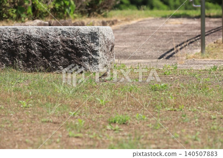 A small bird with an insect in its beak 140507883