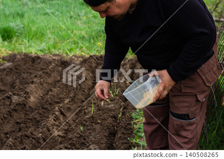 Man planting seeds by hand in freshly tilled garden soil, cultivating new life and demonstrating a commitment to agriculture, natural growth, and self-sufficiency 140508265