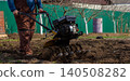 Man cultivating rich soil with a walk-behind tractor in a backyard garden, tilling ground for spring planting on a small farm homestead, preparing beds for growing food. 140508282