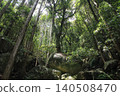 Mountain trail surrounded by trees 140508470