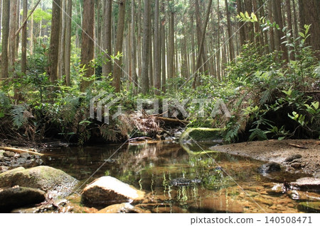 Mountain trail surrounded by trees 140508471