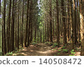 Mountain trail surrounded by trees 140508472