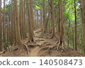 Mountain trail surrounded by trees 140508473