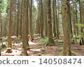 Mountain trail surrounded by trees 140508474