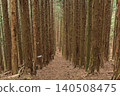 Mountain trail surrounded by trees 140508475