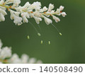 Kussakagelow蛋 140508490