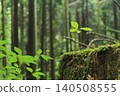 Deep in the forest 140508555